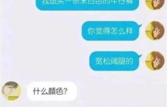 异性聊天真的能赚钱吗？揭开聊天变现的真相