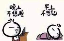 地板上睡觉真的能赚钱？这张图片背后藏着什么商机？