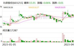 在宁波设立分公司，盈利前景如何？是否值得投资？