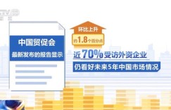 为何外资企业在中国市场利润丰厚？