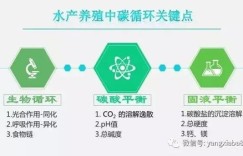 包工头转型养虾，真的能实现财富增长吗？