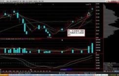 公司盈利后股价是否会随之攀升？