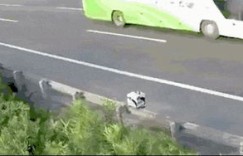 在洛阳高速拍视频真的能赚钱吗？具体操作和收益如何？