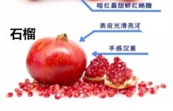 有哪些独特又霸气的水果群微信名字推荐？这份大全你一定不要错过！