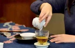 如何高效找茶？掌握找茶技巧让你轻松选好茶