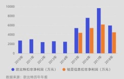 公司是否只顾盈利而忽视了其他重要因素？