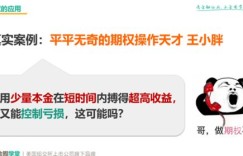 平阳副业如何高效入门？全方位攻略带你轻松上手！