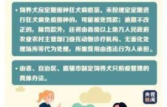 遛狗喂食兼职行为是否触犯法律界限？