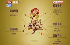 土木专业学生如何选择合适的兼职工作？