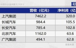 哪款国产车盈利能力最强？市场表现与利润分析