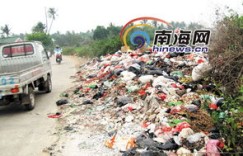 海南哪个地区垃圾投放收益最高？