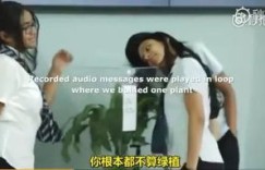 兼职女孩为何备受称赞？她的独特魅力在哪里？