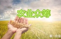 哪项技术让农民收益最高？探寻农业致富的金钥匙