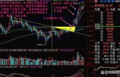 专业炒股者究竟有多拼命在股市掘金？