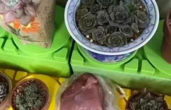 幼儿园老师兼职烧烤摊，这样的副业选择合适吗？