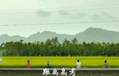 南门河畔摆摊做副业，有哪些热门选择你知道吗？