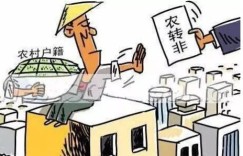 农村女性发展副业，真的能带来好收益吗？