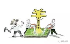农村年轻人如何通过步行实现创收？