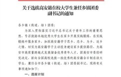 团委副书记兼职任期有多长？背后规定详解