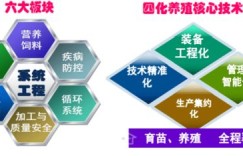哪种养殖既能高效盈利又能助力外语学习？