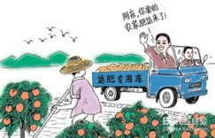 农村创业真的能致富吗？实地探访解析赚钱真相