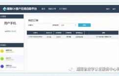 上海CA自助登录平台如何使用？详解操作步骤与优势