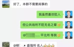 在桃花交友聊天平台上，真的能边聊天边赚钱吗？