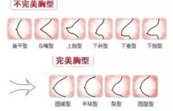 如何通过胸部按摩实现盈利？这种方法真的可行吗？