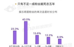 中国偶像如何成功走向国际市场吸金？
