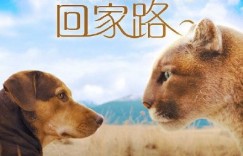 想找到北美的自助洗狗网站入口吗？这里有一站式指南！