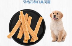 想要自主挑选宠物零食？揭秘一款专为爱宠定制的自助平台！