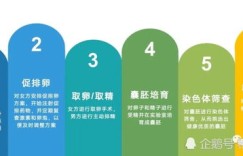 三代试管婴儿技术操作全流程是怎样的？详细视频教程带你一探究竟