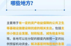 抗疫特别国债盈利模式是怎样的？如何实现投资回报？